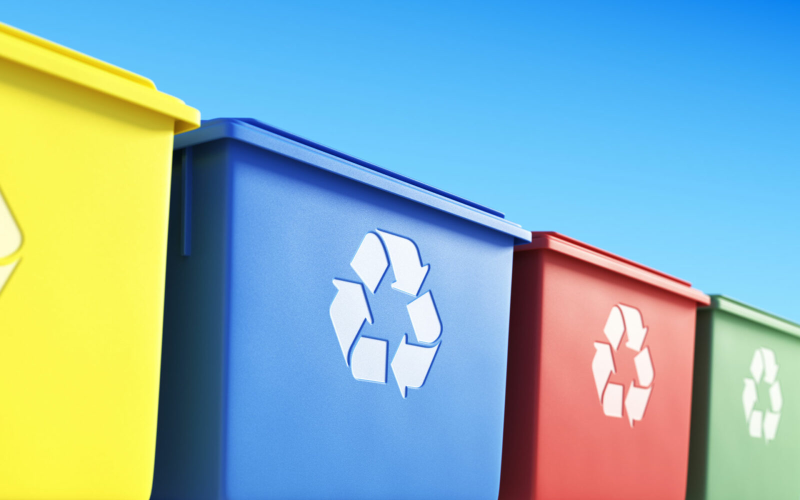 Colorful Garbage Bins Dedicated Separate Collection Rubbish 3d Illustration
